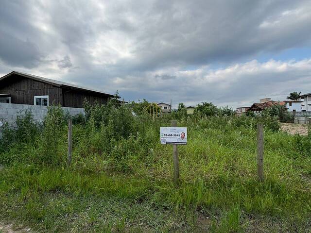 #447 - Área para Venda em Paulo Lopes - SC - 2