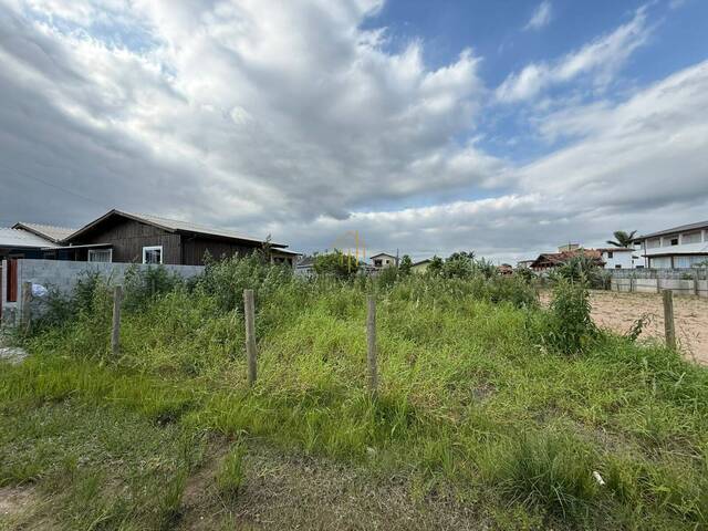 #447 - Área para Venda em Paulo Lopes - SC - 3