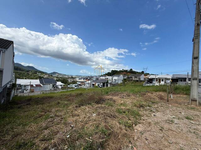 Área para Venda em Palhoça - 5